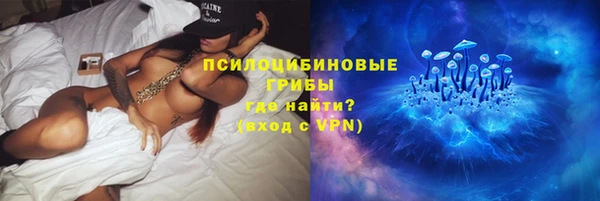 метадон Алексин
