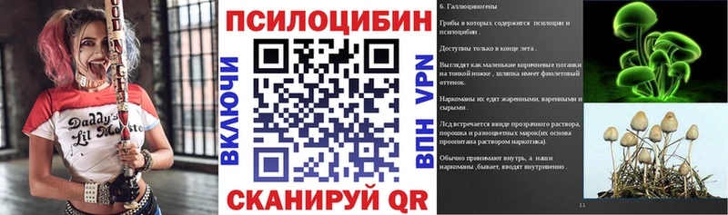 Псилоцибиновые грибы Psilocybe  Межгорье 